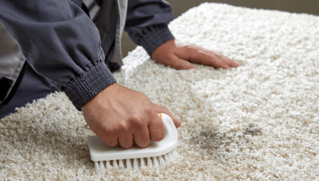 Professional Rug Cleaning Rangeview