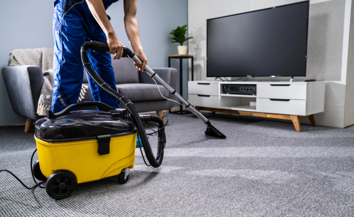 Extract Rug Cleaning Rangeview Contact Office